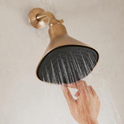 Canopy Filtered Showerhead