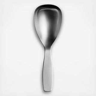 Collective Tools Serving Spoon