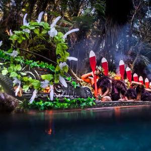 Maori Village Cultural Experience