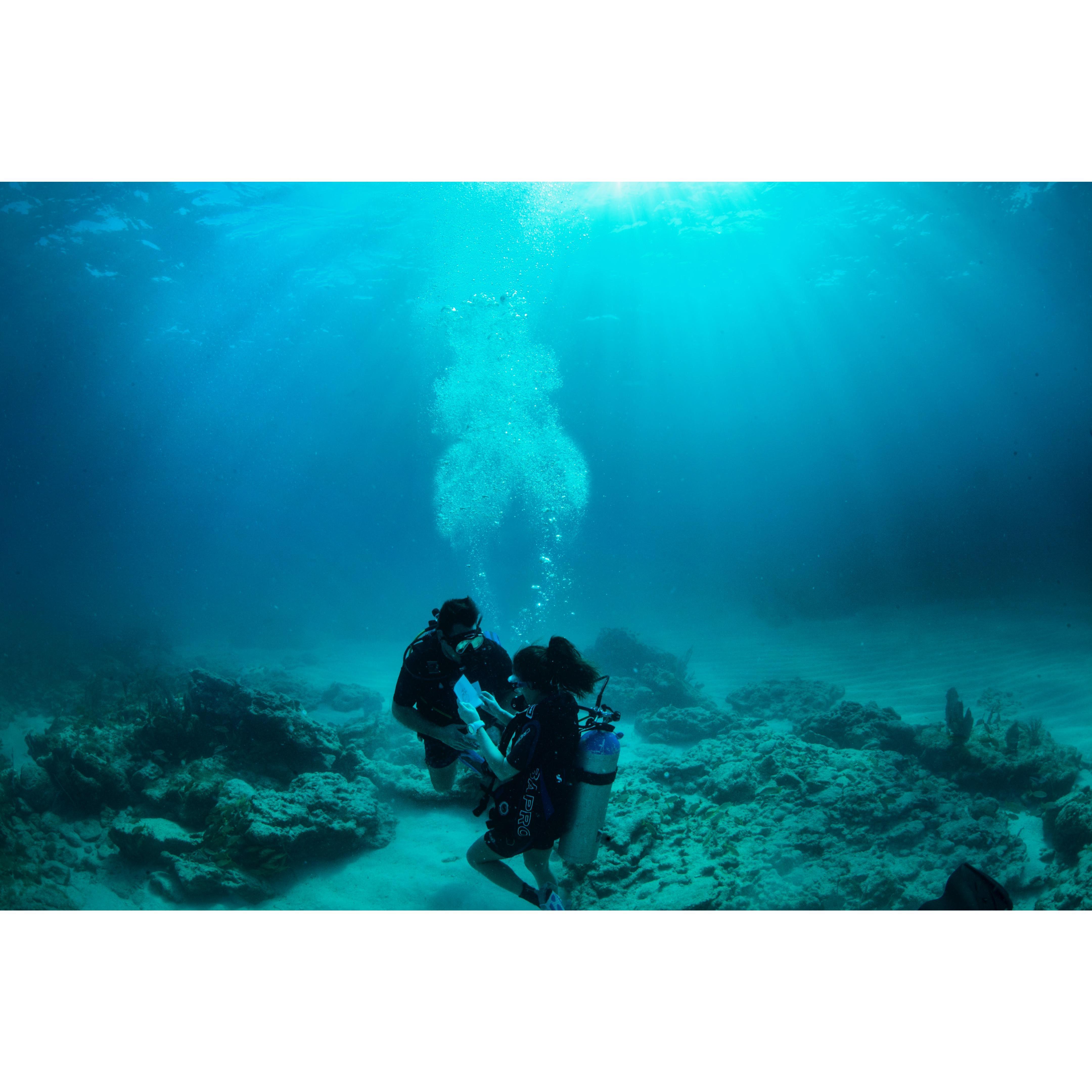 Proposal 3.17.18