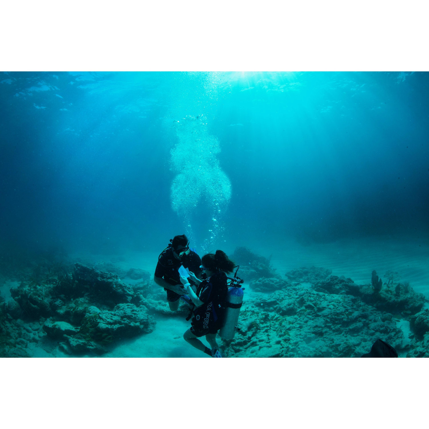 Proposal 3.17.18