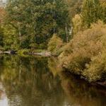 Bothell Landing Park
