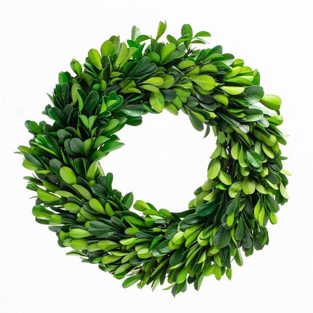 Boxwood Wreath 10 inch Preserved Nature Boxwood Wreath Home Decor Stay Fresh for Years Rustic Farmhouse Holiday Home Decor, Spring Summer Wreath