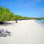 Kayaking at Playa Mansa & Surfing in Playa Brava