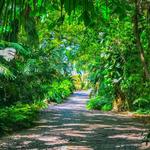 Jungle Prada de Navaez Park