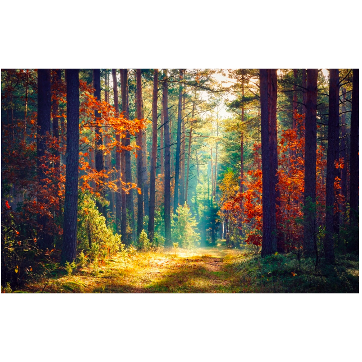 Bosque de la Primavera (translated as Forest of the Spring)- another beautiful park to enjoy!