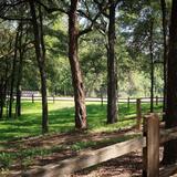 Chandler Park (Georgetown)