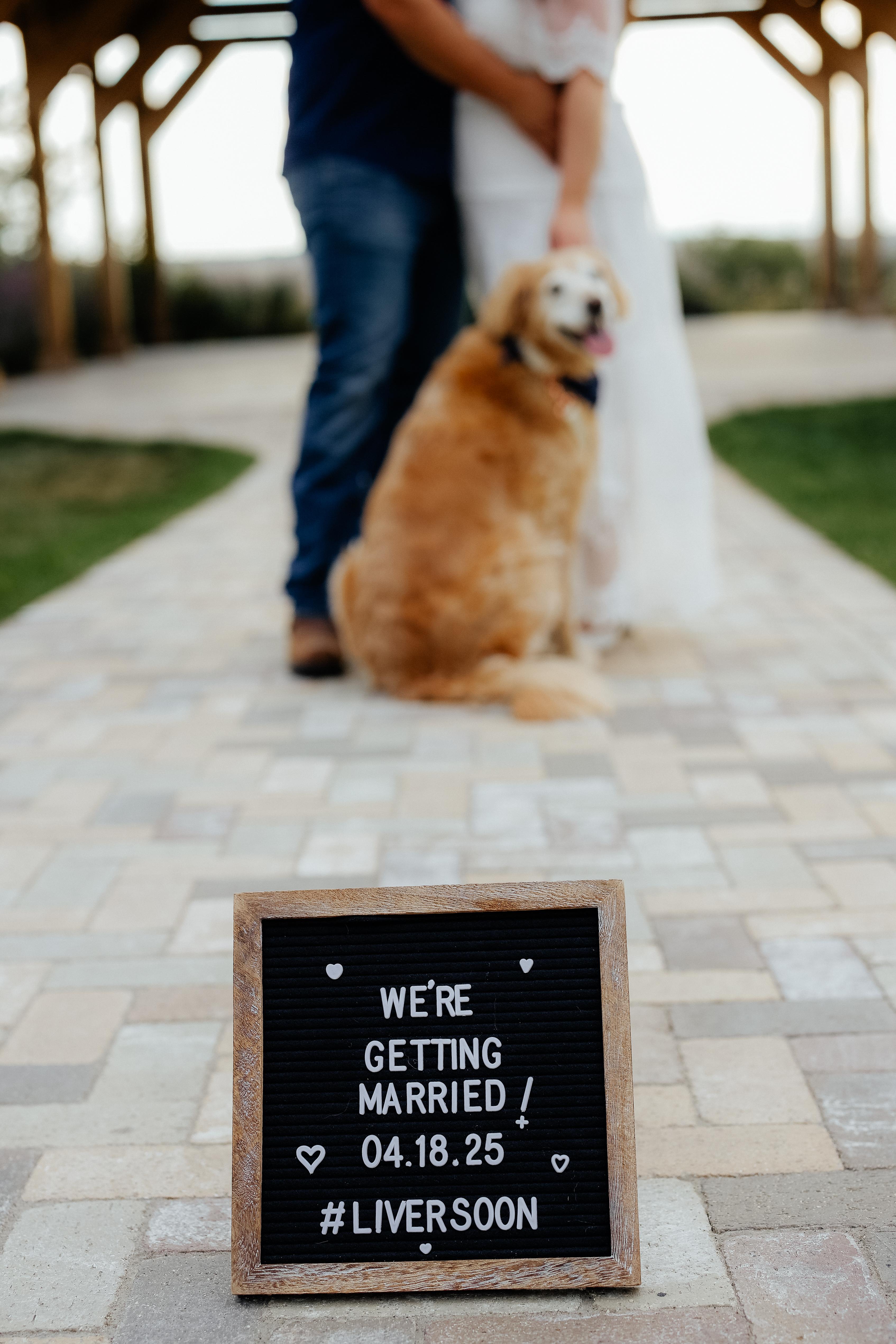 The Wedding Website of Conner Livermore and Melissa Sypniewski