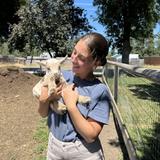 Jerseyland Organics
