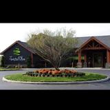 The Twisted Olive