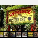 The Mystery Spot