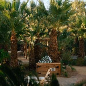 Spa Day in Palm Springs
