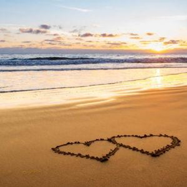 Rachel & Michael's Honeymoon Fund!