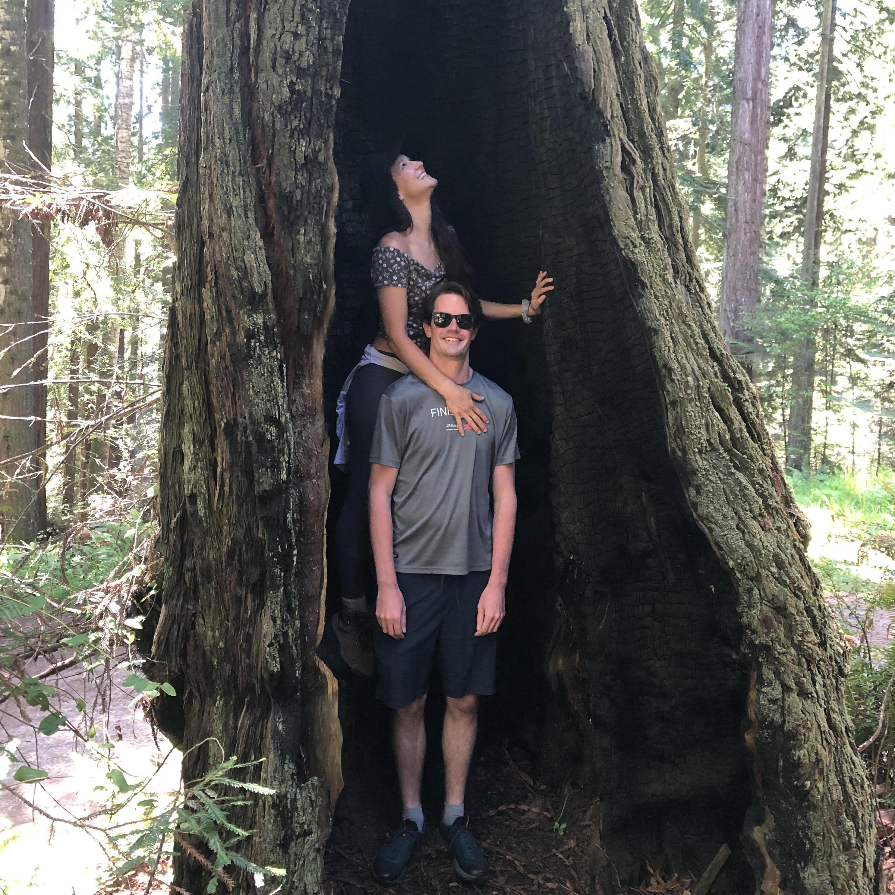 Yeah, we could probably fit a duvet and a quilt in here. Hence, this would make a suitable home.