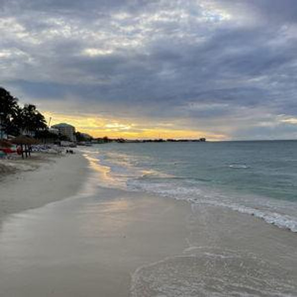 Honeymoon Vote: The Caribbean