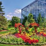 Frederik Meijer Gardens & Sculpture Park