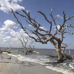 Jekyll Island