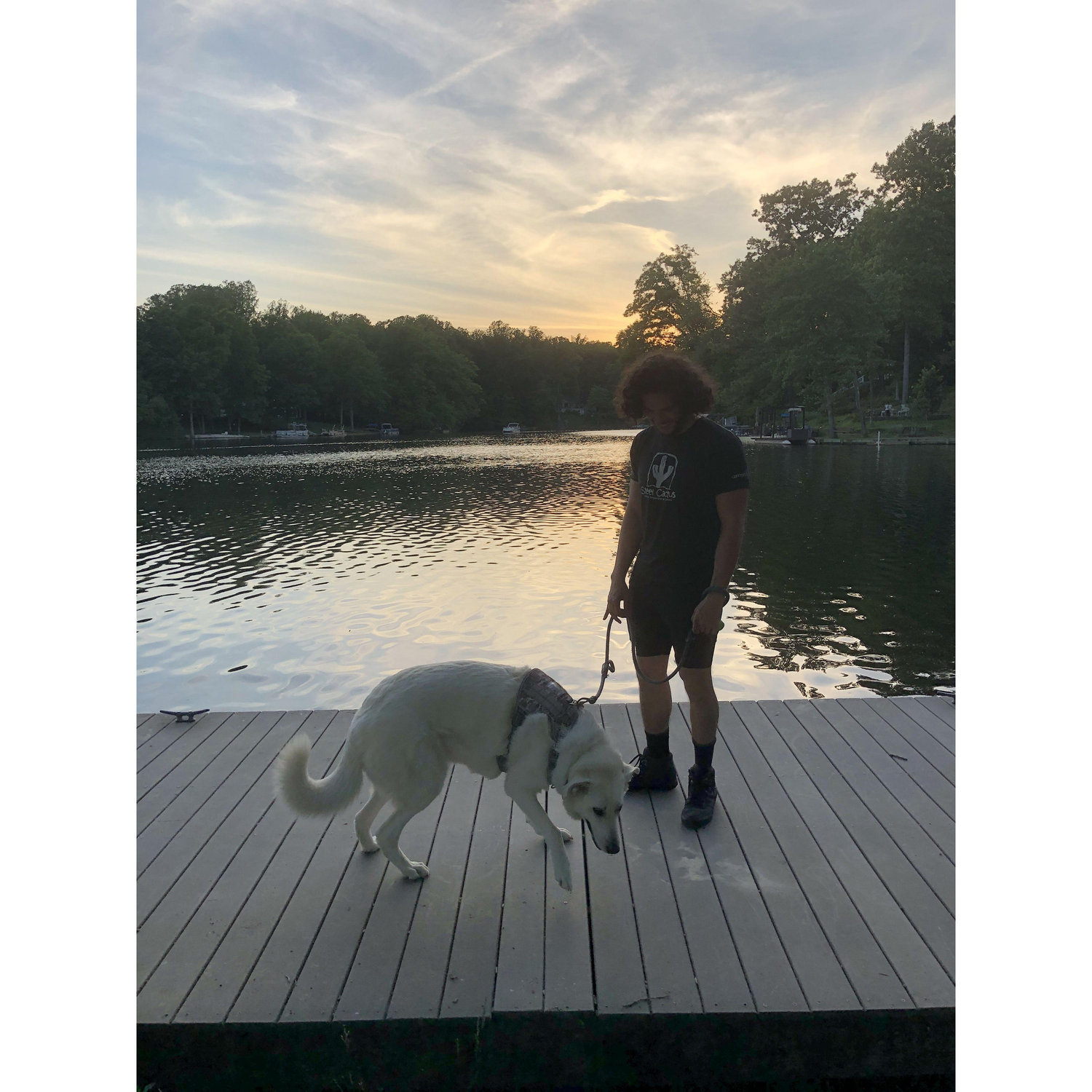 Sophie’s first time on the dock near our new home in Lake Barcroft.