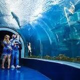 Acuario de Veracruz | Veracruz Aquarium