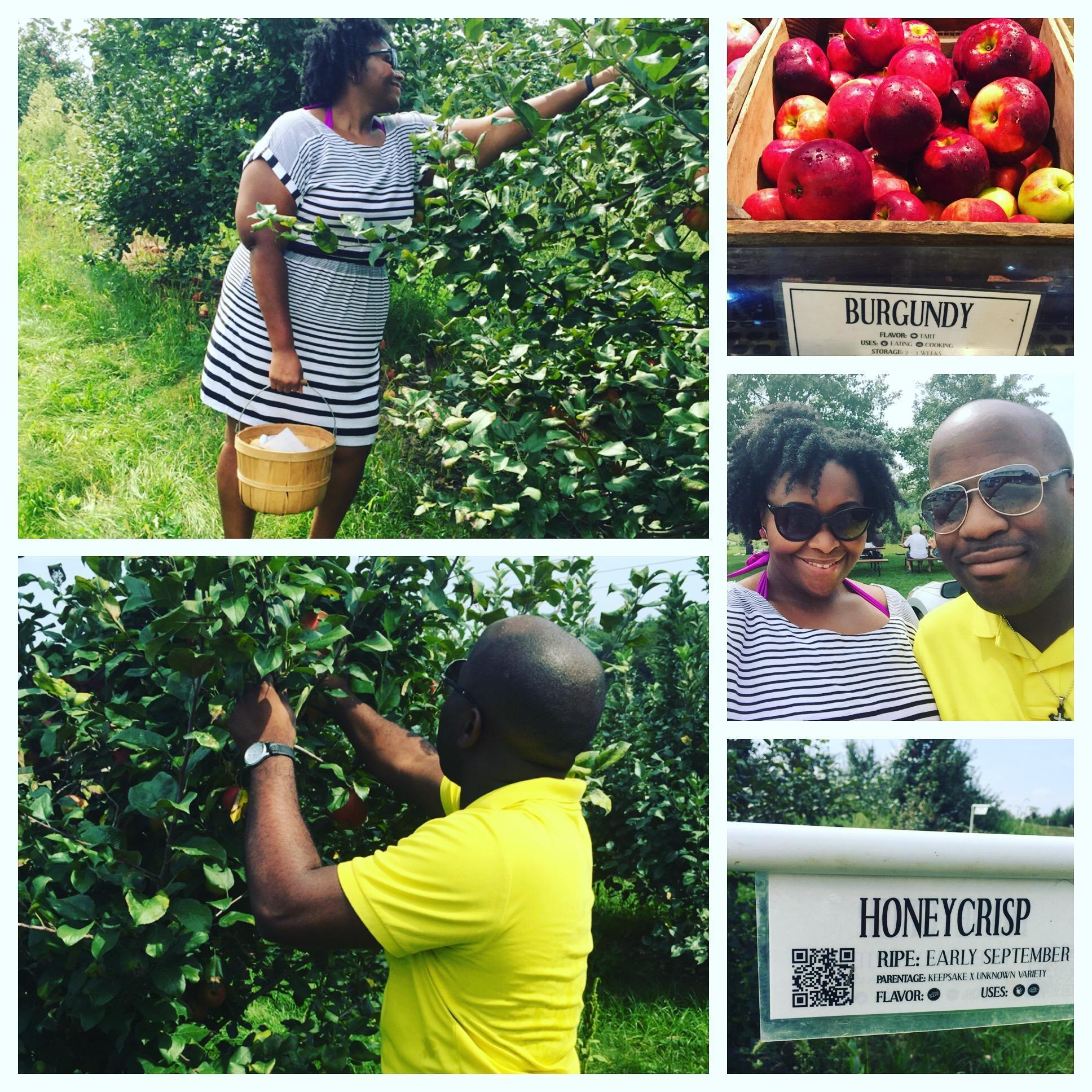 Visiting an apple orchard in Cedar Rapids, IA -September 2015