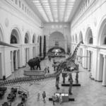 Field Museum