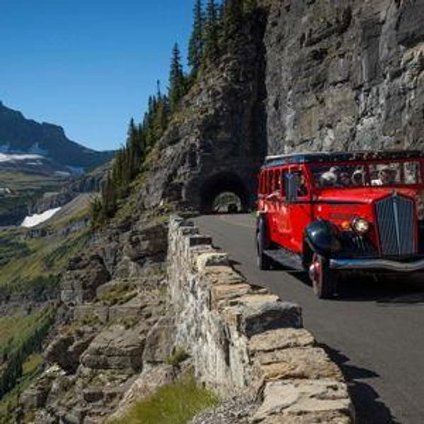 Red Bus Tour in Glacier National Park!