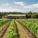 Tinwood Winery - Sparkling English Wines