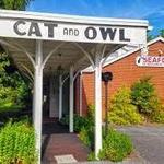 Cat & Owl Steak & Seafood