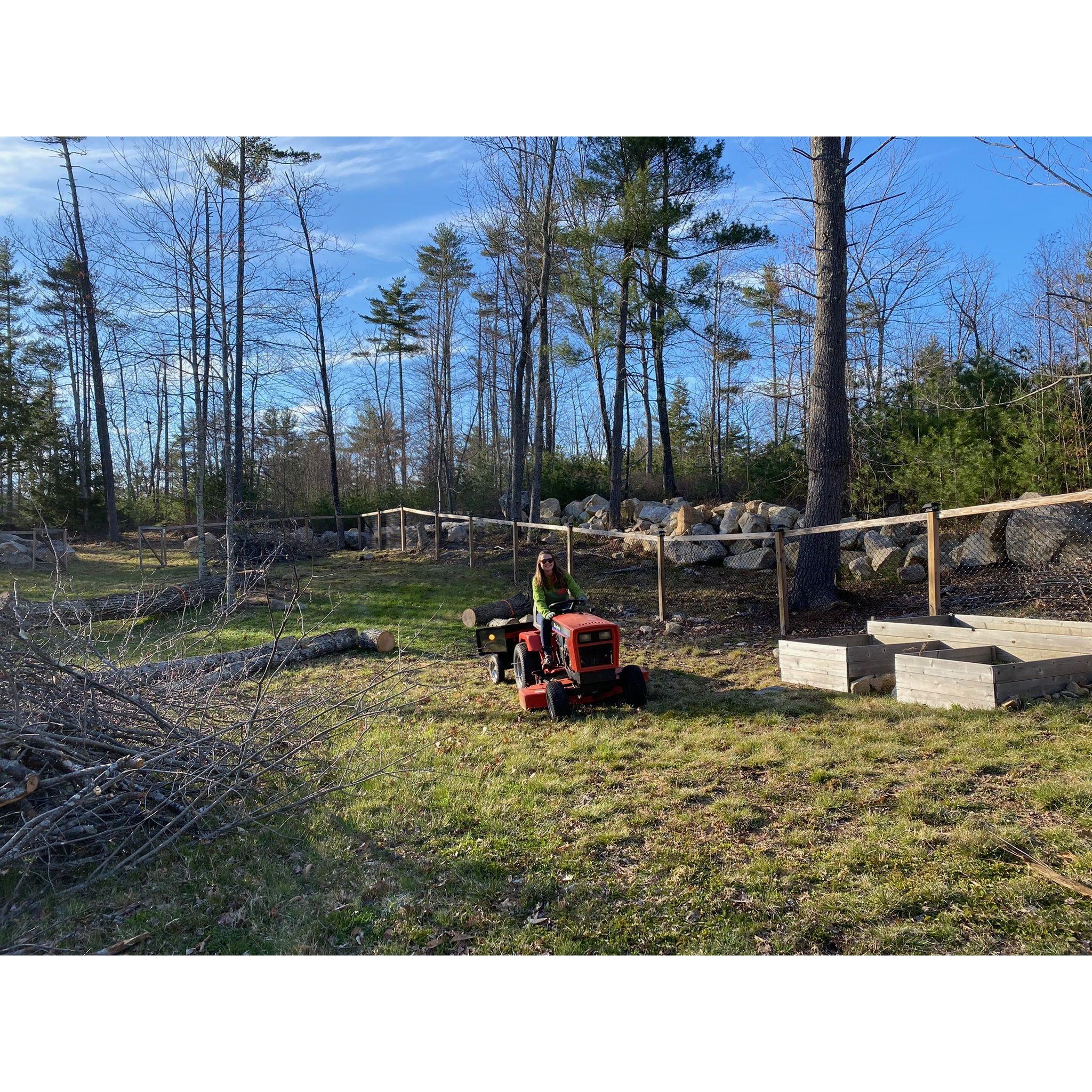 Kristina navigating some tree removal on the tractor gifted to us by mom & Fred
