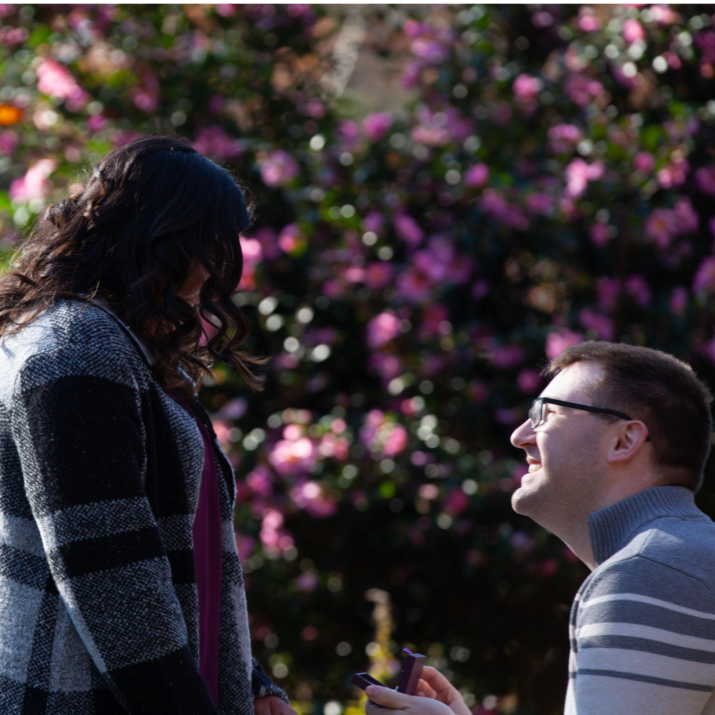 When Alex popped the question!