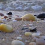 Reeves Beach