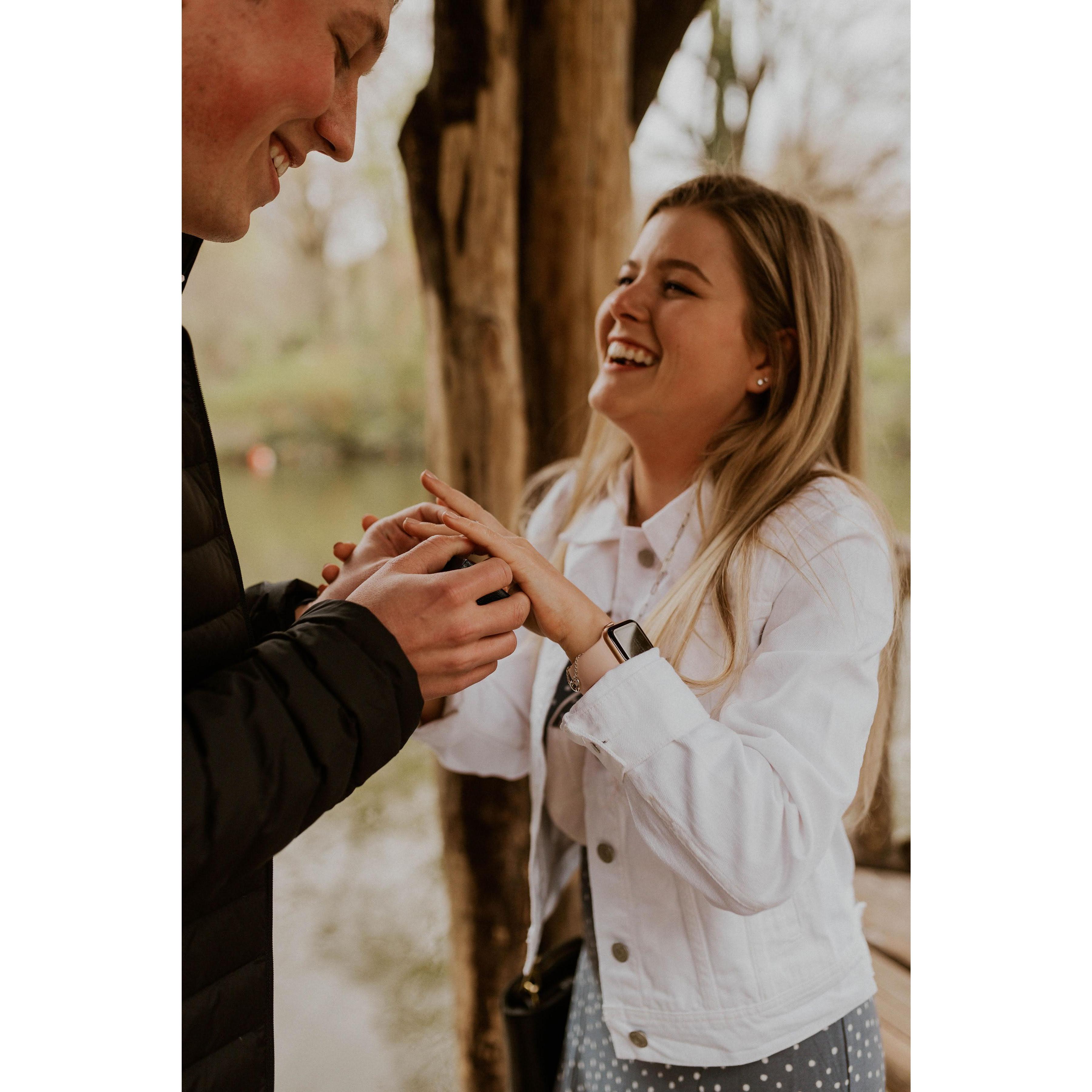 The proposal!! 04-18-2021