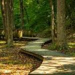 Wilshire Trails