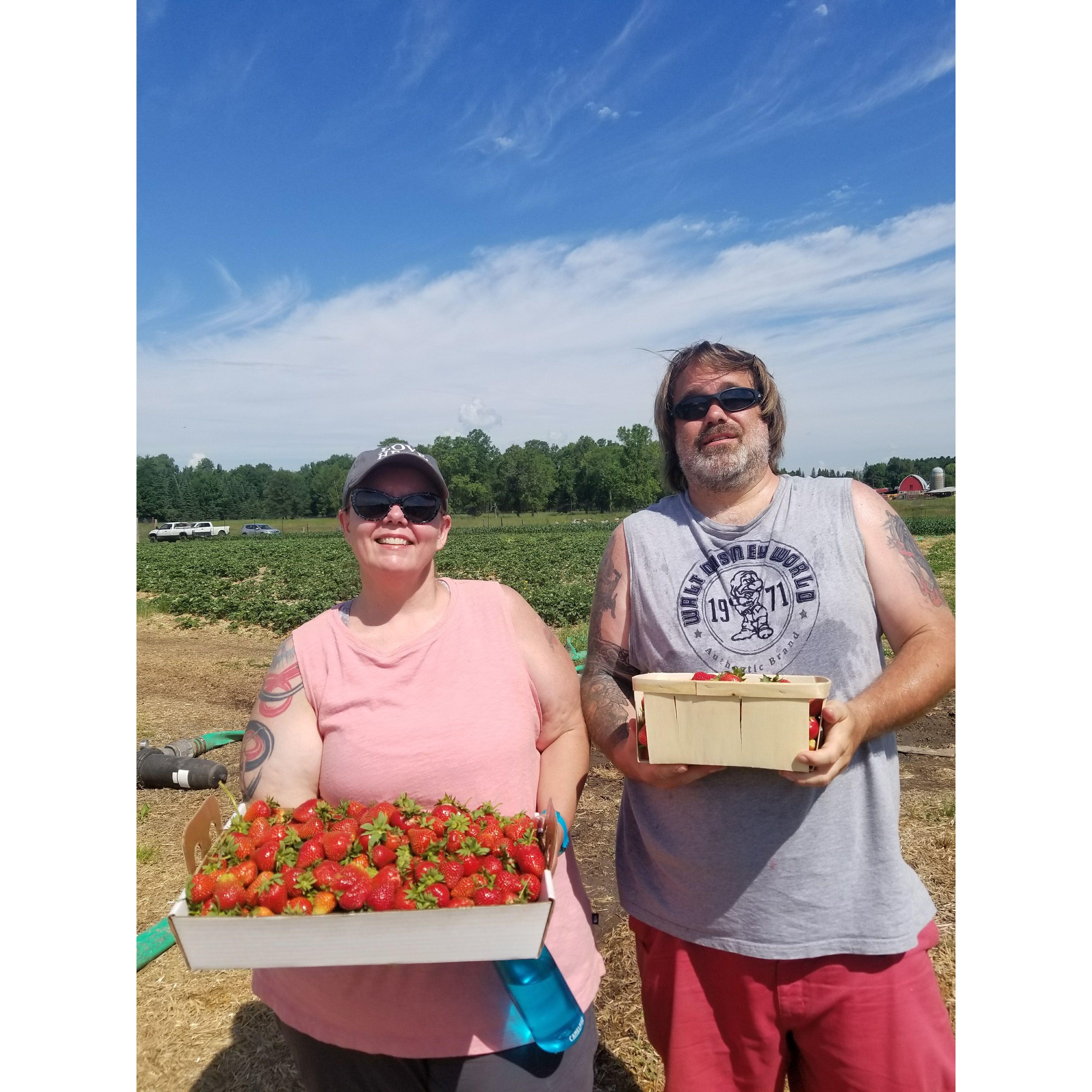 We picked pallets of fresh strawberries, so we could make fresh jam. Grand Rapids area 2020