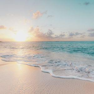 Honeymoon Activities Fund