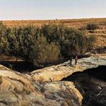 Natural Sandstone Bridge