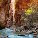 Zion National Park