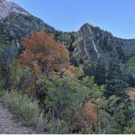 Neff’s Canyon Loop