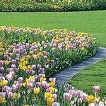 The Dallas Arboretum and Botanical Garden