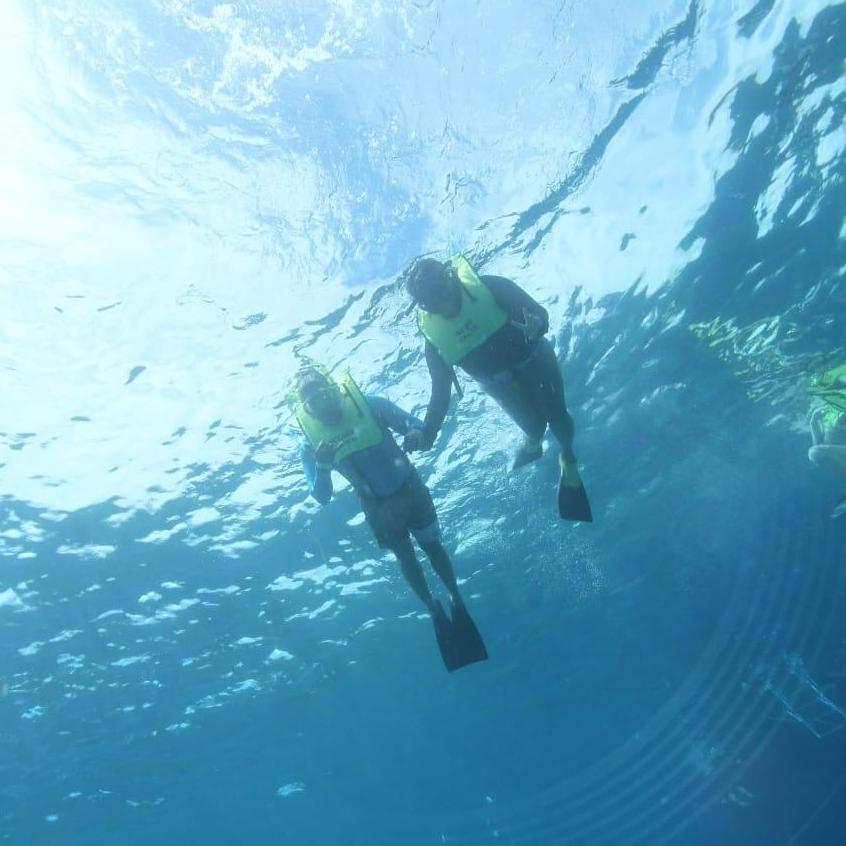 Under the sea, in Hawaii