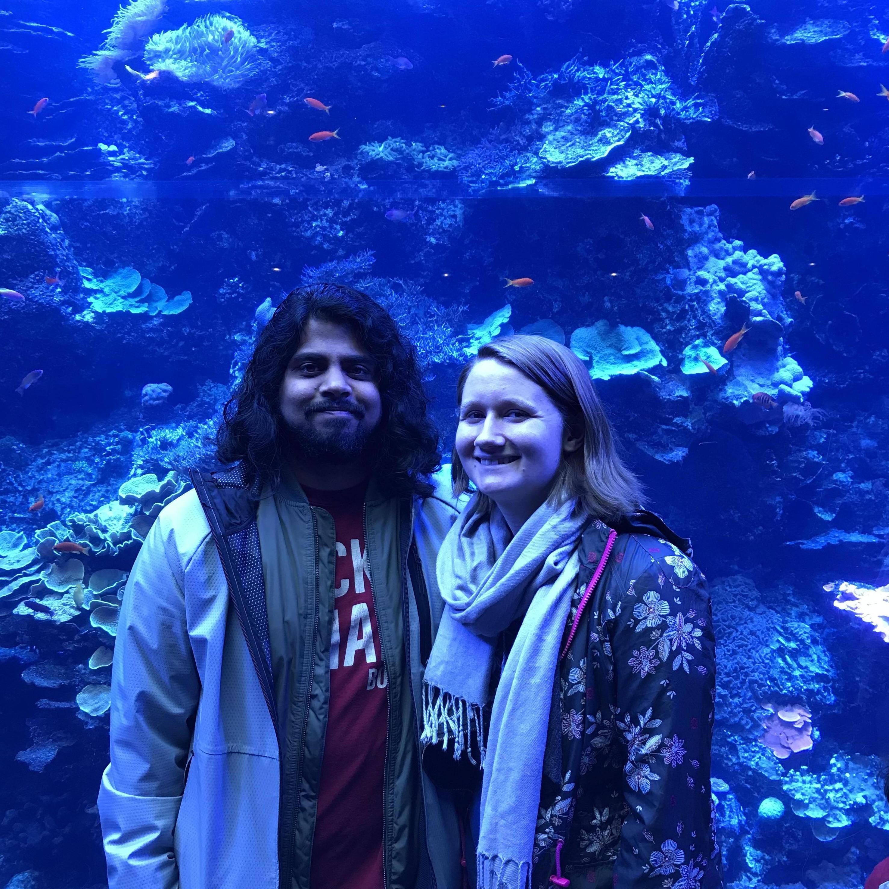 Searching for Nemo at the Georgia Aquarium.