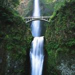 Multnomah Falls Lodge