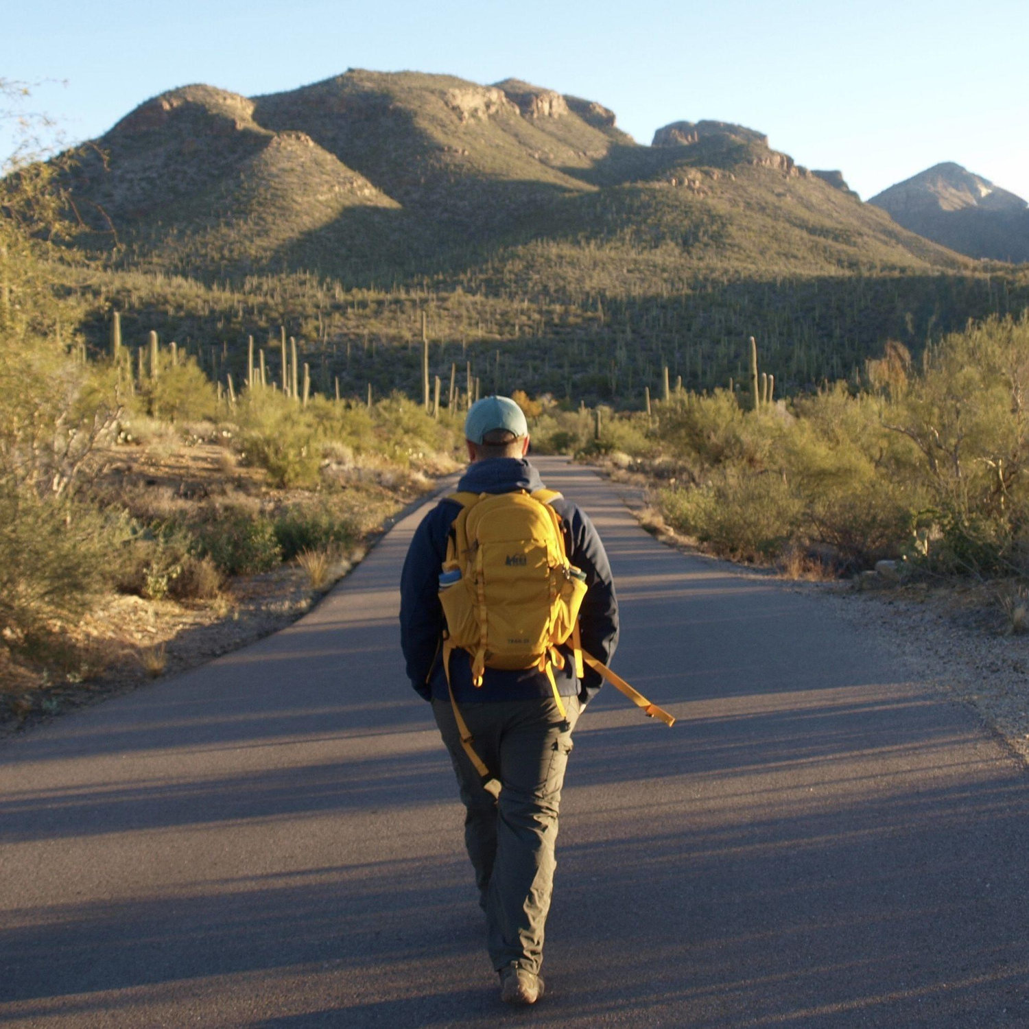 Hiking in Tucson - Sabino Canyon