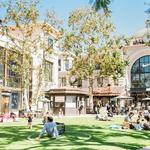The Grove