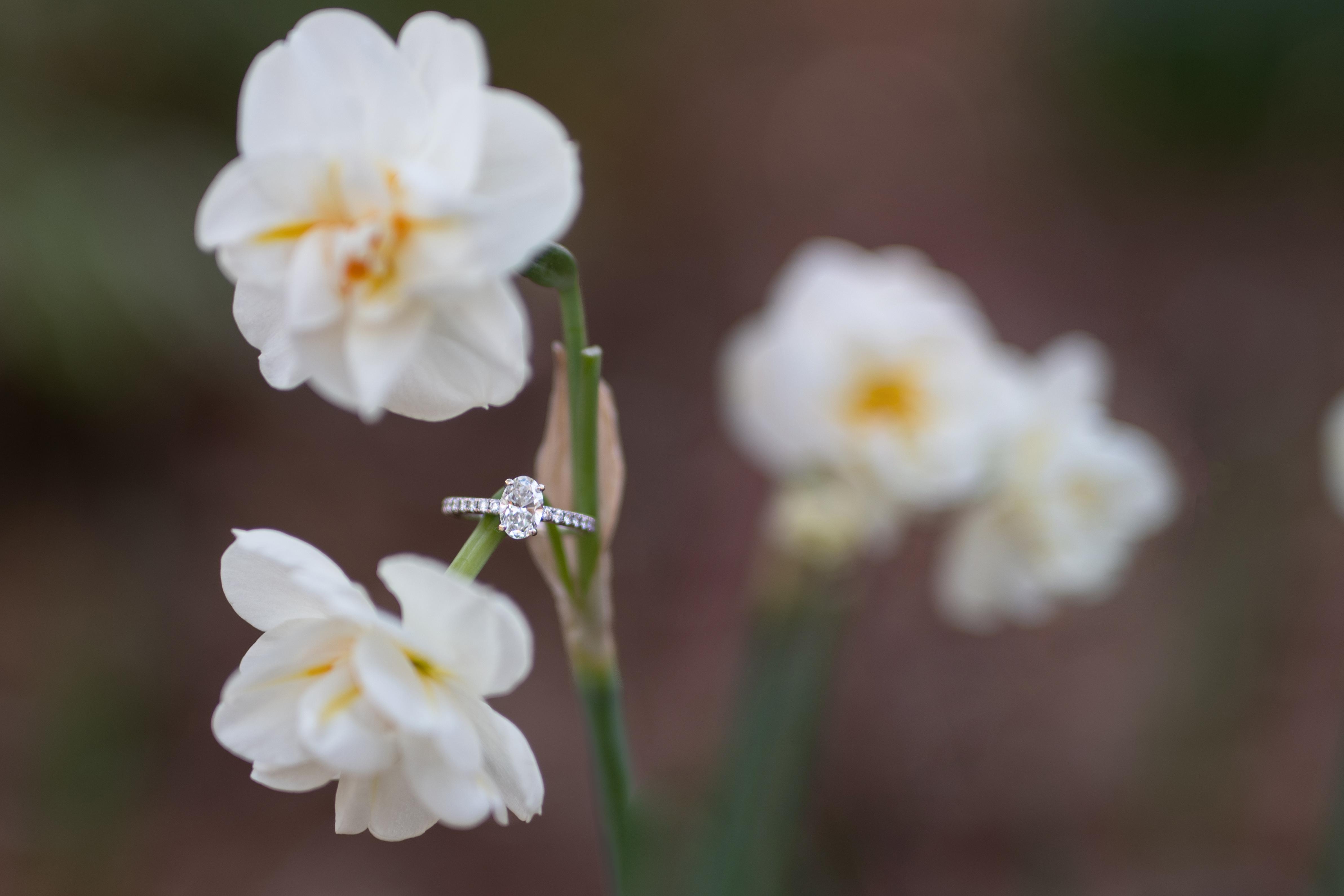 The Wedding Website of Chasity Reed and Eric Burton