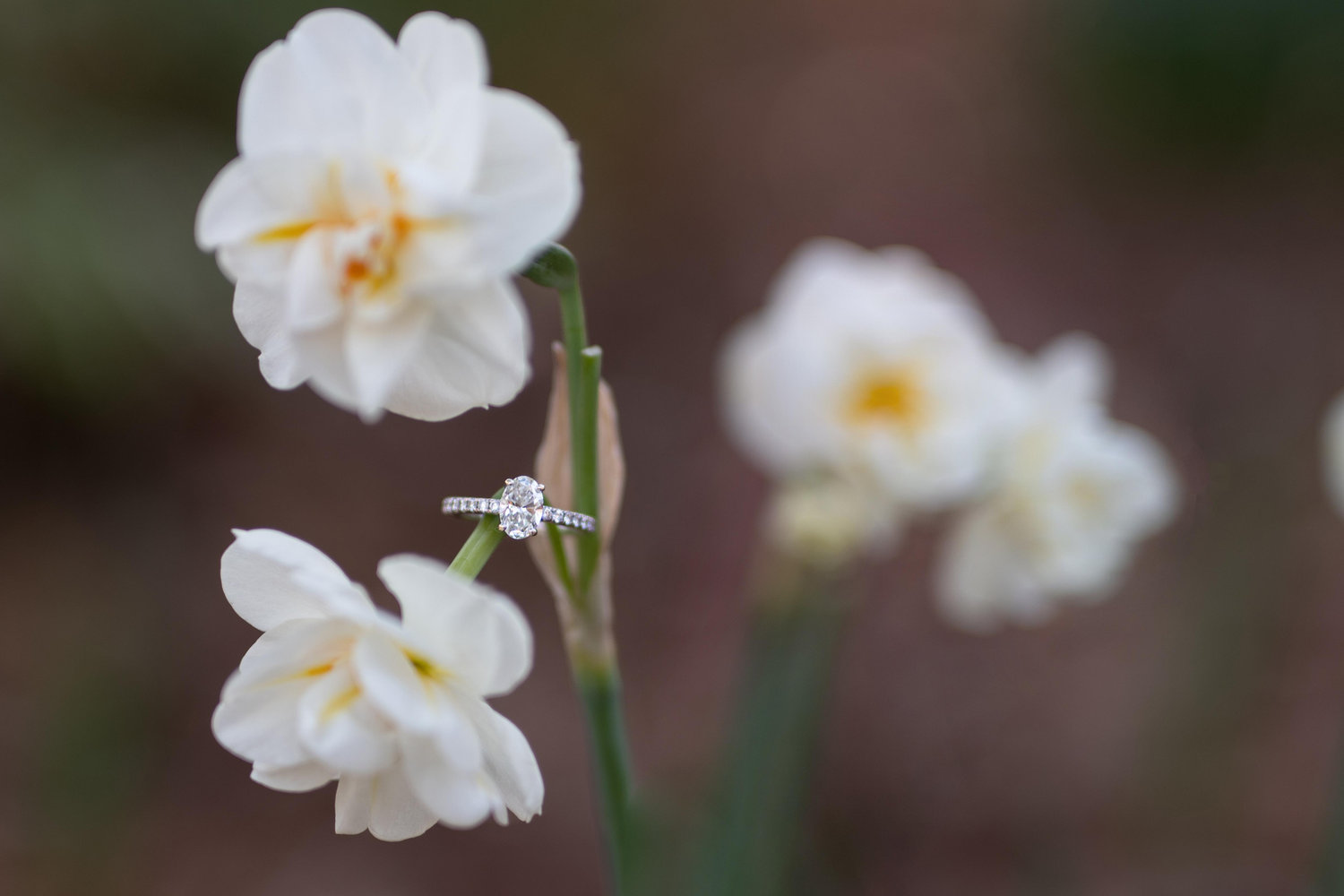 The Wedding Website of Chasity Reed and Eric Burton