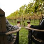 Wineries and Breweries