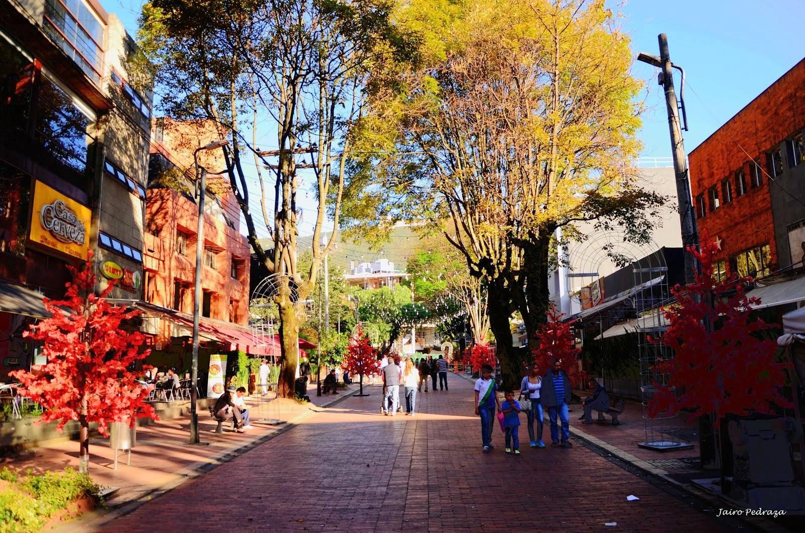 The Wedding Website of Angelica Benitez and Sebastian Donoso