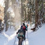 Snowshoeing in Whistler