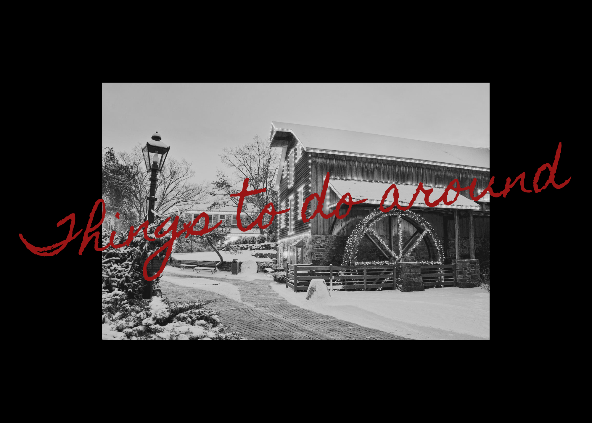 The Wedding Website of Morgan Franc and Damian Pisarski